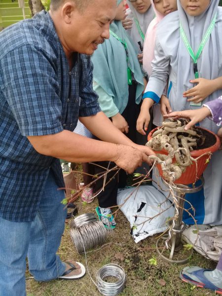 Santri Daar el-Qolam sedang belajar membonsai