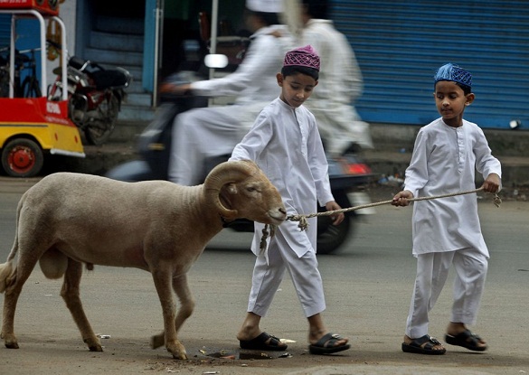 Anak-anak menuntun domba qurban