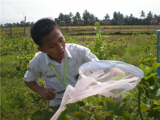 Siswa sedang melakukan penelitian